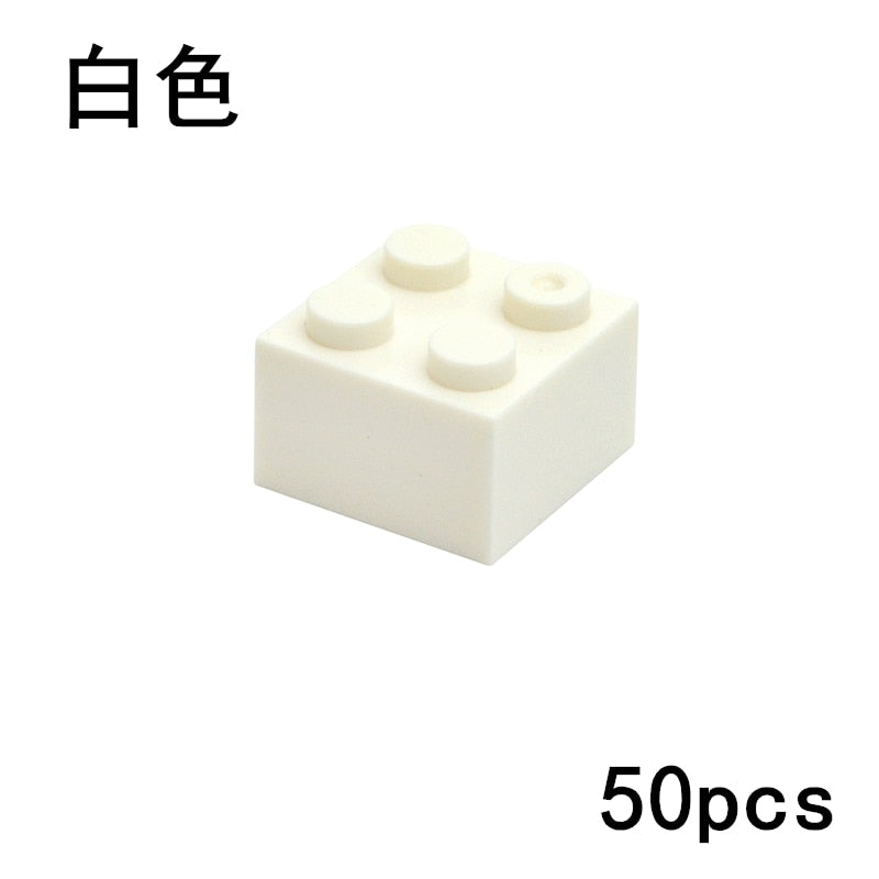 DIY Thick Figures Bricks 2x2 Dots Building Blocks