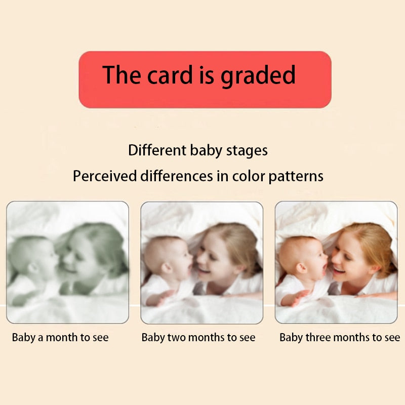 Montessori Baby Visual Stimulation Card Toys