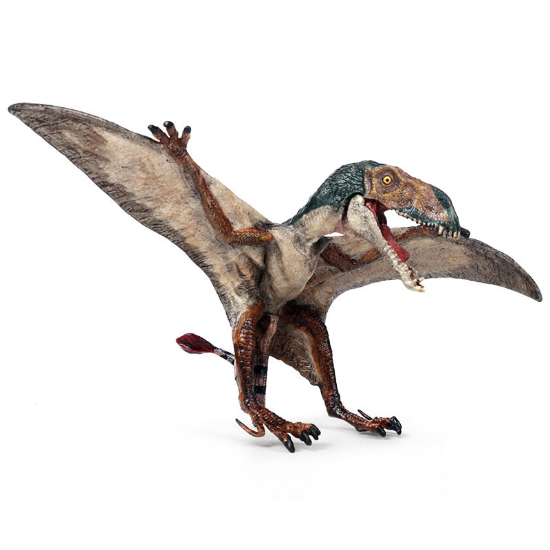 Simulation Dinosaurio Pterosaur Allosaurus Dinosaur