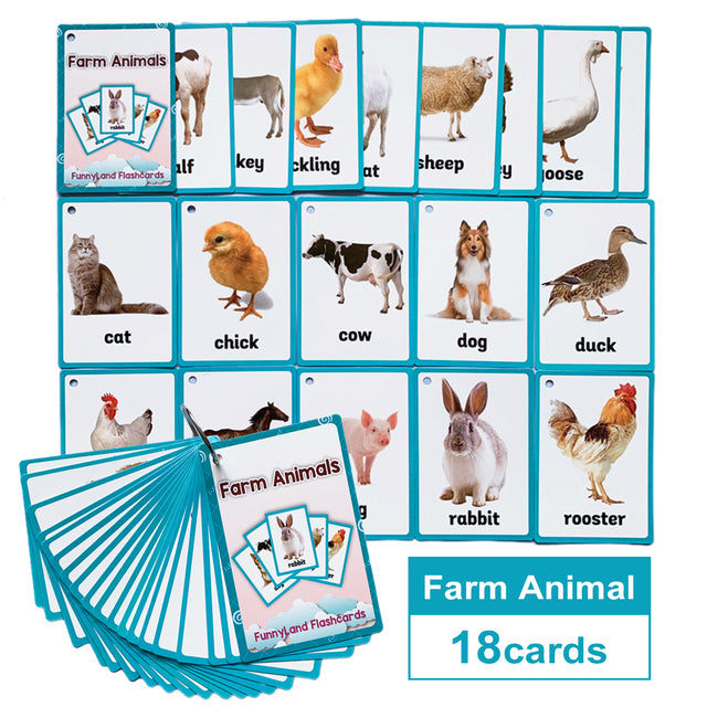 English Learning Word Card Pocket Flash