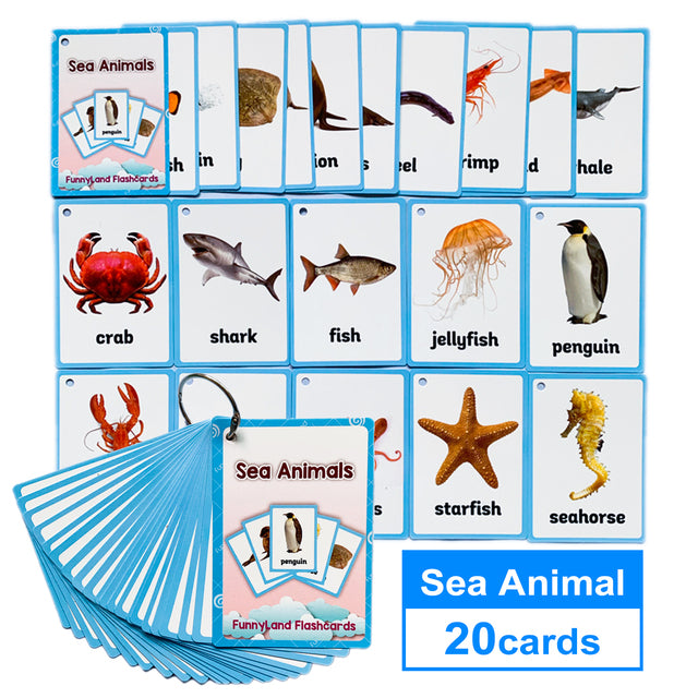 English Learning Word Card Pocket Flash