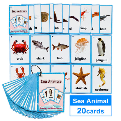 English Learning Word Card Pocket Flash