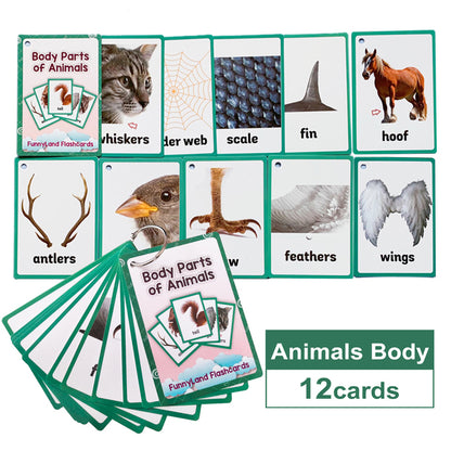 English Learning Word Card Pocket Flash